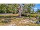 Large backyard with majestic tree and plenty of space for outdoor activities at 5235 Spencer Parrish Rd, Parrish, FL 34219