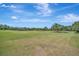 Expansive, lush, green field with scattered trees, showing the vastness of the property at 5235 Spencer Parrish Rd, Parrish, FL 34219
