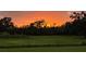 Pastoral landscape featuring an open field bordered by lush trees, illuminated by the warm colors of sunset at 5235 Spencer Parrish Rd, Parrish, FL 34219