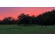 Scenic view of an expansive, open field at sunset, framed by mature trees at 5235 Spencer Parrish Rd, Parrish, FL 34219