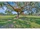 Elevated treehouse featuring wooden deck and stairway, surrounded by mature trees at 5235 Spencer Parrish Rd, Parrish, FL 34219