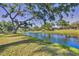 Backyard with beautiful trees, green grass, and a long lake view at 5711 Garden Lakes Fern, Bradenton, FL 34203
