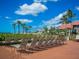 Inviting outdoor deck with rows of lounge chairs, offering relaxation and scenic views of the beach and palm trees at 6204 Midnight Pass Rd # 102, Sarasota, FL 34242