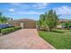Brick paver driveway leading to a 3 car garage with a neatly manicured lawn and tropical landscaping at 6642 Willowshire Way, Bradenton, FL 34212