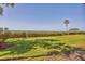 Beautiful backyard featuring green lawn, hedges, mature trees and water views at 79 Tidy Island Blvd, Bradenton, FL 34210