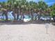 Sandy beach with picnic tables and palm trees in the background at 845 Benjamin Franklin Dr # 101, Sarasota, FL 34236