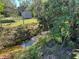 Picturesque backyard with a gently flowing stream, a shed, lush greenery, and blooming yellow flowers at 1350 40Th St, Sarasota, FL 34234