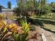 Lush backyard featuring vibrant bromeliads and flourishing plants, complemented by a well-maintained lawn and fence at 1350 40Th St, Sarasota, FL 34234