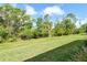Green backyard with space for recreation, framed by trees and landscaping creating a serene outdoor space at 18249 Vizcaya Ct, Venice, FL 34293