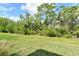 Lush backyard with manicured lawn and mature trees at 18249 Vizcaya Ct, Venice, FL 34293