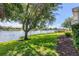 Green lawn with mature tree and lake view offers a tranquil outdoor setting at 2931 Bravura Lake Dr, Sarasota, FL 34240