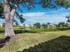 Lush backyard scene with a tranquil pond, verdant grass, and neighborhood houses in the background at 3835 Alamanda Dr, Sarasota, FL 34238