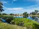 Scenic view of the lake with lush aquatic plants and reflections of the surrounding houses at 3835 Alamanda Dr, Sarasota, FL 34238