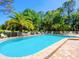 Inviting community pool with lounge chairs and tropical landscaping; a relaxing oasis at 4355 Longmeadow # 23, Sarasota, FL 34235