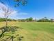 Expansive golf course showcasing meticulously manicured greens with beautiful landscaping and a clear blue sky at 4355 Longmeadow # 23, Sarasota, FL 34235