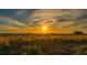 Beautiful sunset over a beach with golden grass in the foreground at 777 Beach Rd # 1B, Sarasota, FL 34242