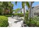 The backyard patio features comfortable seating with palm trees and mature foliage adding beauty and shade at 8146 Shadow Pine Way, Sarasota, FL 34238