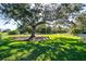 A well-maintained dog park featuring a large shade tree and lush green grass at 10616 High Noon Trl, Parrish, FL 34219