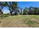 Expansive grassy land surrounded by mature trees and a clear blue sky providing a beautiful view at 10712 Forest Run Dr, Bradenton, FL 34211