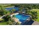 Aerial view of a sparkling pool with palm trees, poolside chairs, and a nearby serene lake at 10806 52Nd E Ct, Parrish, FL 34219