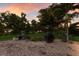 Brick-paved backyard featuring lush landscaping and a propane grill, offering an ideal space for outdoor gatherings at 2397 Vaccaro Dr, Sarasota, FL 34231
