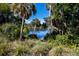 Scenic lake view framed by lush vegetation, with palm trees creating a serene and picturesque natural landscape at 2397 Vaccaro Dr, Sarasota, FL 34231