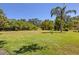 Lush green backyard featuring mature trees and well-maintained lawn at 3816 Little Country Rd, Parrish, FL 34219