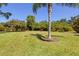 Expansive lawn with mature trees, perfect for outdoor activities and relaxation at 3816 Little Country Rd, Parrish, FL 34219