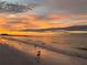 Picturesque beach at sunset with birds along the shoreline, and a beautiful sky at 5432 Cape Leyte Dr, Sarasota, FL 34242