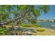 Stunning waterfront view overlooking the landscaped grounds with picnic tables under the shade of a sprawling tree at 6157 Midnight Pass Rd # B42, Sarasota, FL 34242