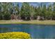 Scenic pond view with mature trees and vibrant yellow bushes at 6713 Chester Trl, Bradenton, FL 34202