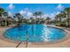 A beautiful swimming pool is surrounded by many palm trees, bright sunshine, and clear water at 12676 Sagewood Dr, Venice, FL 34293
