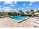 Community pool with brick paver deck, lounge chairs and mature palm trees at 14519 Catalina Cir, Seminole, FL 33776