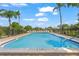 A relaxing community pool with clear blue water and palm trees at 314 Oak Hill Way # 24, Sarasota, FL 34232