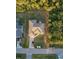 Aerial view of a property with an outlined property line, showcasing its location and surrounding landscape at 4456 Callaway St, Port Charlotte, FL 33981