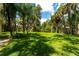 Spacious backyard with verdant grass and scattered trees offering ample shade at 4576 Cooper Rd, Sarasota, FL 34232