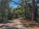 Secluded dirt road lined with mature trees, providing a peaceful and private access point to the property at 4576 Cooper Rd, Sarasota, FL 34232