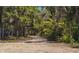 Long driveway through the natural landscaping at 4576 Cooper Rd, Sarasota, FL 34232