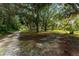 Expansive front yard with mature trees offering shade and a natural landscape at 4576 Cooper Rd, Sarasota, FL 34232