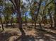 Mature trees cover the wooded lot at 4576 Cooper Rd, Sarasota, FL 34232