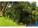 Picturesque pond with reedy plants and lush greenery along the water's edge at 4576 Cooper Rd, Sarasota, FL 34232