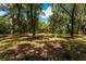 Expansive property with mature trees and lush greenery offering a private and serene setting at 4576 Cooper Rd, Sarasota, FL 34232