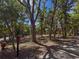 A wooded lot with a driveway at 4576 Cooper Rd, Sarasota, FL 34232