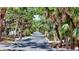View of a quiet street lined with beautiful mature trees at 5033 Oxford Dr, Sarasota, FL 34242