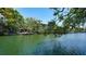 Scenic waterfront property featuring lush trees and clear water, creating a tranquil and inviting atmosphere at 5033 Oxford Dr, Sarasota, FL 34242