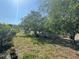 Spacious backyard with mature trees and a tire swing offers privacy and natural beauty at 5315 Malamin Rd, North Port, FL 34287