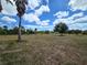 Expansive piece of property with mature palm trees and space to build at 6321 279Th E St, Myakka City, FL 34251