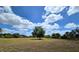 Mature trees and expansive land at 6321 279Th E St, Myakka City, FL 34251