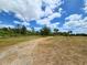 Expansive parcel of land featuring a private drive and mature trees at 6321 279Th E St, Myakka City, FL 34251