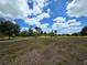 Open land with mature trees and abundant space at 6321 279Th E St, Myakka City, FL 34251